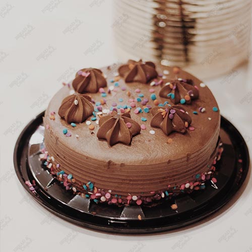 Classic Chocolate Sprinkled Cake